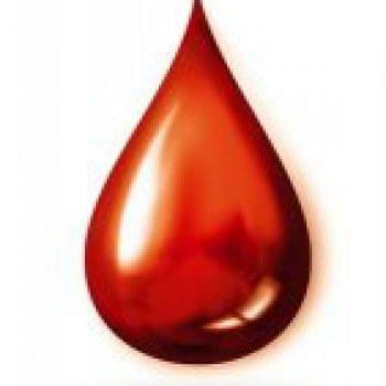 Стремление жить - Началась акция «Безопасная кровь для тяжелобольных детей «Охматдета»» | Фонд Инна - Благотворительный фонд помощи онкобольным