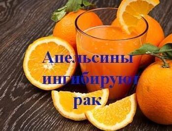 Стремление жить - Апельсиновый сок защищает от рака | Фонд Инна - Благотворительный фонд помощи онкобольным