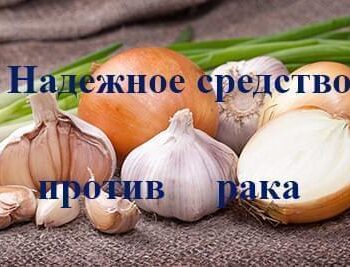 Стремление жить - Чеснок Снижает Риск Рака. Исследование Ученых | Фонд Инна - Благотворительный фонд помощи онкобольным