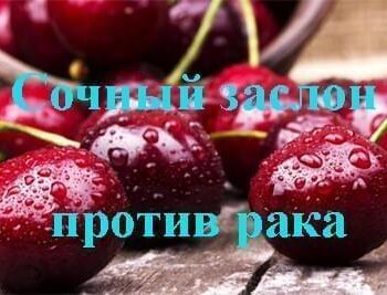 Стремление жить - ЧЕРЕШНЯ — СОЧНАЯ ЗАЩИТА ОТ РАКА | Фонд Инна - Благотворительный фонд помощи онкобольным