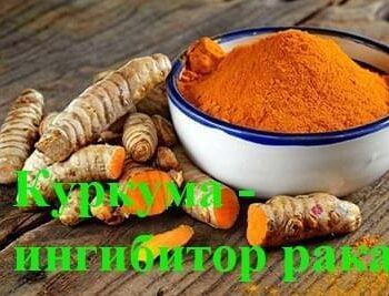 Стремление жить - КУРКУМА — ИНГИБИТОР РАКА | Фонд Инна - Благотворительный фонд помощи онкобольным