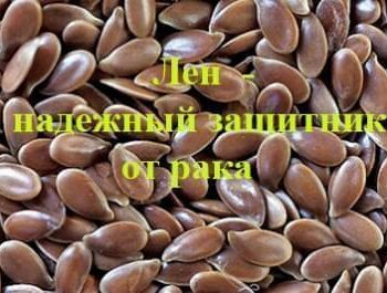 Стремление жить - Лен Убивает Рак. Ученые Это Доказали | Фонд Инна - Благотворительный фонд помощи онкобольным