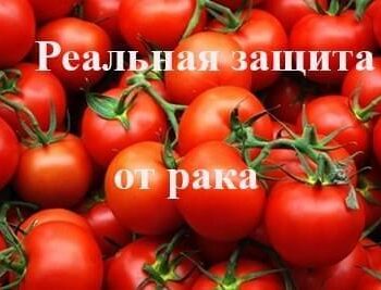 Стремление жить - ПОМИДОРЫ — РЕАЛЬНАЯ ЗАЩИТА ОТ РАКА | Фонд Инна - Благотворительный фонд помощи онкобольным