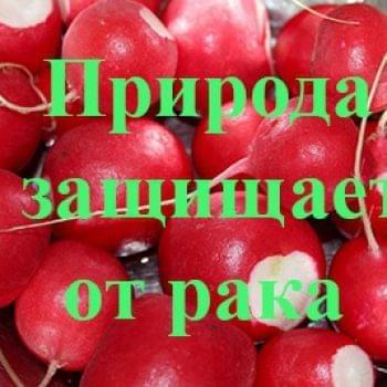 Стремление жить - РЕДИС ПРОТИВ РАКА. НАДЕЖНЫЙ СПОСОБ! | Фонд Инна - Благотворительный фонд помощи онкобольным