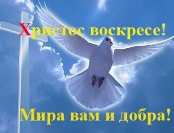 Новости - С Пасхой Христовой, друзья! | Фонд Инна - Благотворительный фонд помощи онкобольным