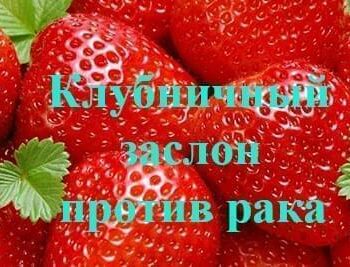 Стремление жить - Сладкий заслон против рака груди | Фонд Инна - Благотворительный фонд помощи онкобольным