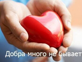 Новости - Сумма сбора в рамках фестиваля увеличена! Акции от заведений образования | Фонд Инна - Благотворительный фонд помощи онкобольным