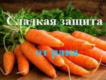 Стремление жить - Витамин А Защитит От Рака Кожи — Убеждены Ученые! | Фонд Инна - Благотворительный фонд помощи онкобольным