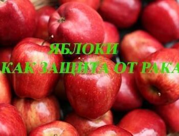 Стремление жить - Яблоки как средство против рака | Фонд Инна - Благотворительный фонд помощи онкобольным