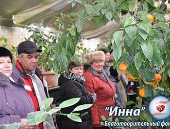 Новини - Зимова подорож у спекотне літо | Фонд Інна - Благодійний фонд допомоги онкохворим