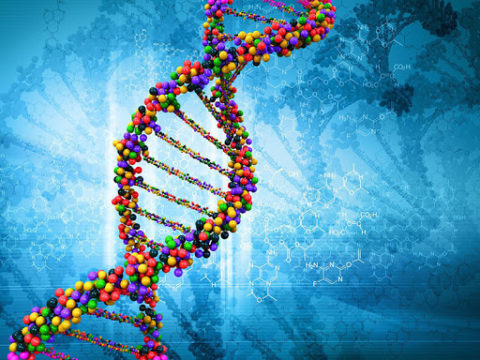Стремление жить - Древняя защита от рака скрыта в ДНК | Фонд Инна