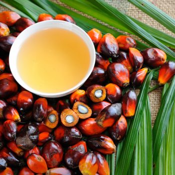 Desire to live - Palm oil promotes cancer | Inna Foundation - Charity foundation for cancer