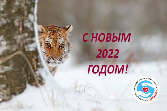Новости - С Новым 2022 годом! | Фонд Инна