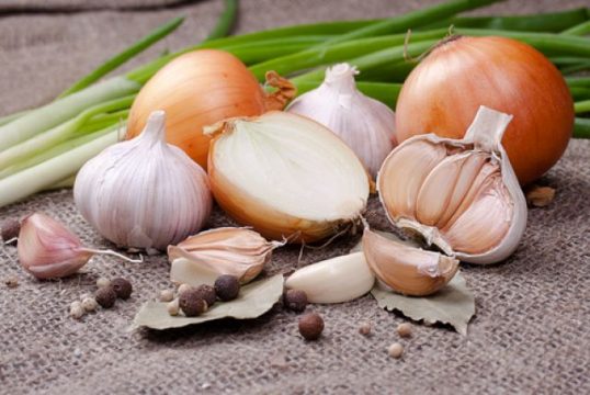 Desire to live - Onions and garlic – protection against cancer | Inna Foundation