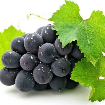 Desire to live - Grape is effective against cancer. Proven | Inna Foundation - Charity foundation for cancer