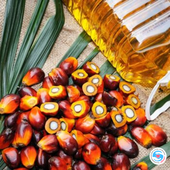 Desire to live - Palm oil accelerates the development of cancer | Inna Foundation - Charity foundation for cancer