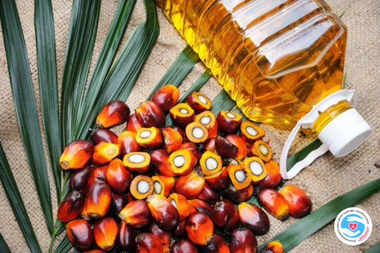Desire to live - Palm oil accelerates the development of cancer | Inna Foundation