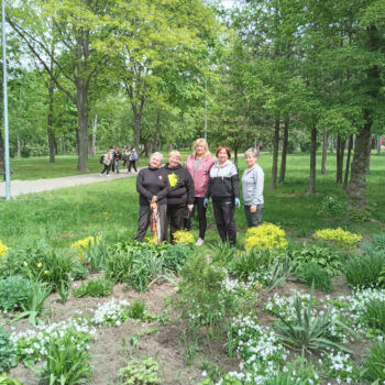 News - We work and relax. Working outdoors brings joy! | Inna Foundation - Charity foundation for cancer