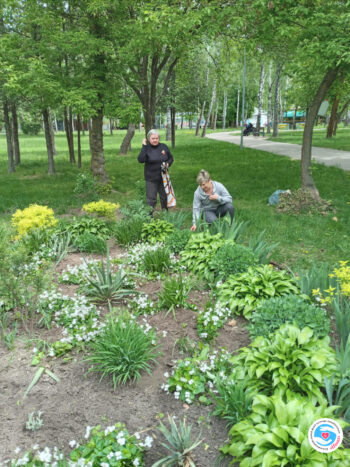 News - We work and relax. Working outdoors brings joy! | Inna Foundation
