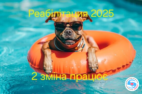 Реабилитация 2025. 2 смена приступила к занятиям Новости - Реабилитация 2025. 2 смена приступила к занятиям | Фонд Инна
