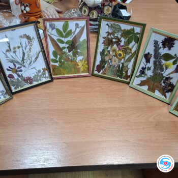 Новости - Практикуем технику осибана. Арт-терапия продолжается | Фонд Инна - Благотворительный фонд помощи онкобольным