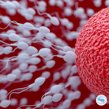 Стремление жить - Онкошок в Европе! Почти 200 детей наследовали рак от одного донора | Фонд Инна - Благотворительный фонд помощи онкобольным