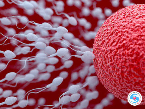 Стремление жить - Онкошок в Европе! Почти 200 детей наследовали рак от одного донора | Фонд Инна