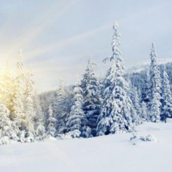 Звіти - Січень | Фонд Інна - Благодійний фонд допомоги онкохворим